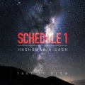 DJ Schedule 1、Hash Swan、Dash - Take It Slow
