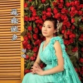 刘艳 - 思念故乡