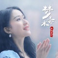杨西音子 - 梦赤水