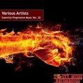 Essential Progressive Music, Vol. 20