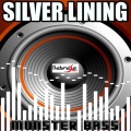 Monster Bass - Silver Lining(Crazy Bout You)- Tribute to Jessie J