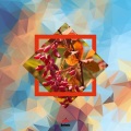 Minimalism LP (Roman Held Remixes)