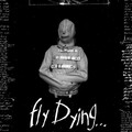 Fly Dying - 3. Black