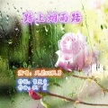 踏上烟雨路