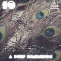 A Deep Dimension, Vol. 19