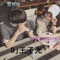 DJ王子光 - 楚乔传