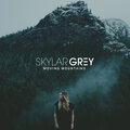 Skylar Grey - Moving Mountains