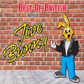Jive Bunny And The Mastermixers - Best of British