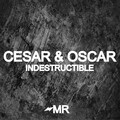 Indestructible
