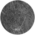 Guanlong - Endure (Original Mix)