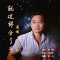 陈宝钦 - 就这样分了手