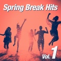 Spring Break Party Hits - Perfect Strangers