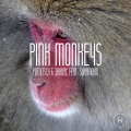 Poenitsch & Jakopic、Supamario - Pink Monkeys
