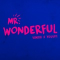 Mr. Wonderful