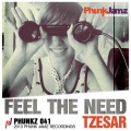 Tzesar - Feel the Need