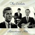 The Crickets - Why Did You Leave