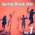 Spring Break、Partyhits - Perfect Strangers