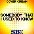 Cover Cream - Somebody That I Used to Know (Karaoke Version)
