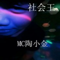 陶小金 - 皇朝中我指鹿为马