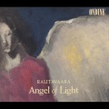 Leif Segerstam、helsinki philharmonic orchestra - II. Molto allegro