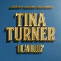 Tina Turner - I Idolize You