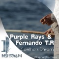 Fernando T.R.、Purple Rays - Coelho's Dream (Purple Rays Remix)