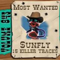 Sunfly Karaoke - This Is How We Do It In the Style of Montell Jordan