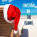 Kapono Beamer、Henry Ahlzorn、久升音艺 Sonoton Music - Joy to the World