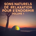Michael Hamilton - Ecoulement d'un petit ruisseau