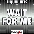 Liquid Hits - Wait for Me