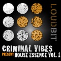 Menini、Viani - Ever Fun