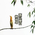 名决 - 林中鸟