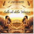Cicci Guitar Condor - Cavalieri Del Cielo