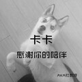杜晓宁 - 卡卡 谢谢你的陪伴
