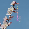 莫小菜 - 大慈大悲观世音