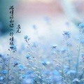 左凡 - 浓情淡如你 (抒情版)