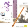 张维良 - 平沙落雁