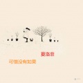 夏洛菲 - 可惜没有如果