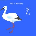 左凡 - 网红