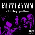 Charley Patton - Love My Stuff