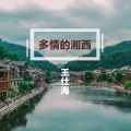 王仕海 - 多情的湘西