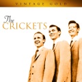 The Crickets - Love's Made a Fool of You