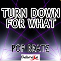 Turn Down for What - Tribute to DJ Snake and Lil Jon