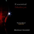 Medwyn Goodall - Clansman