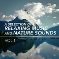 Nature's Sonic Environments and Sounds - Sounds of Breaking Waves
