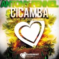 Antony Fennel - Cicamba (Original Mix)