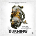 Nacho A.K.A Augenuino - Burning