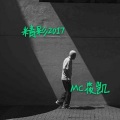 精彩2017