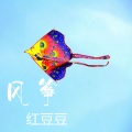 红豆豆 - 风筝