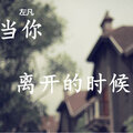 左凡 - 当你离开的时候